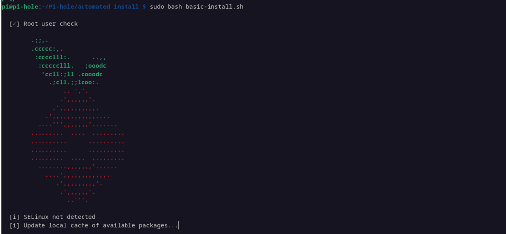 Pi-Hole Installation Status in the CLI