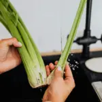 Celery being Broken in Half