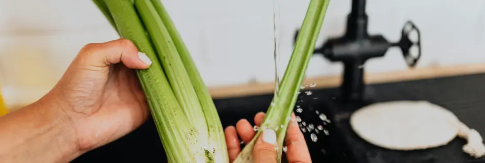 Celery being Broken in Half